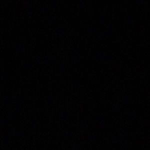 Meet your Posher, Luna